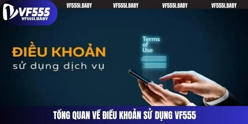 Tổng quan về điều khoản sử dụng VF555