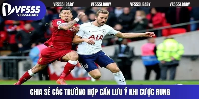 Chia sẻ các trường hợp cần lưu ý khi cược rung