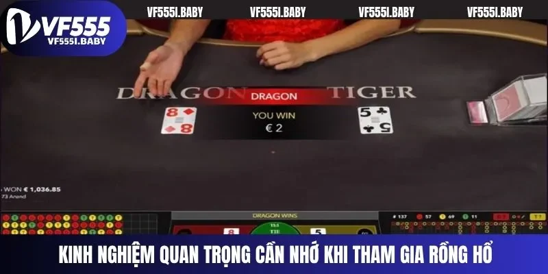 Kinh nghiệm quan trọng cần nhớ khi tham gia Rồng Hổ