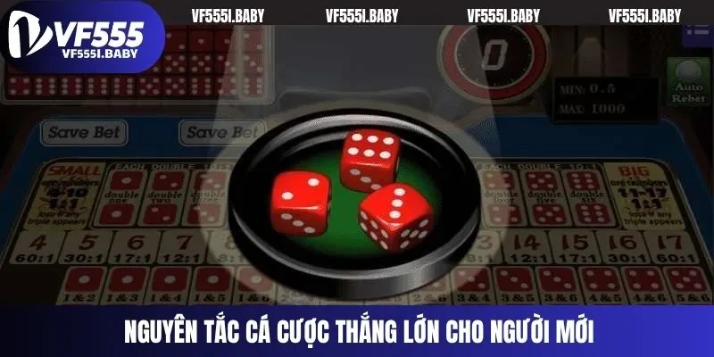 Nguyên tắc cá cược thắng lớn cho người mới