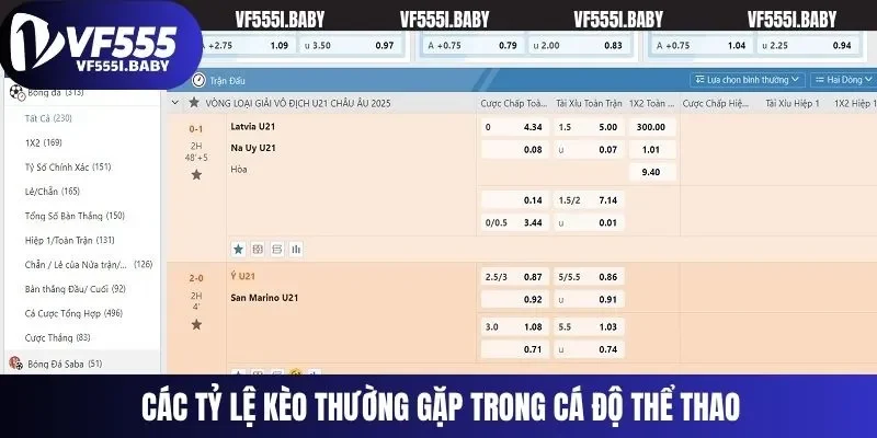 Các tỷ lệ kèo thường gặp trong cá độ thể thao