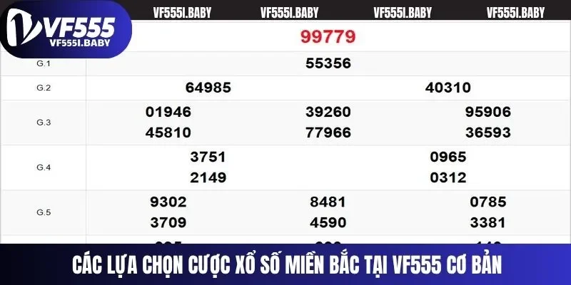 Các lựa chọn cược xổ số miền Bắc tại VF555 cơ bản